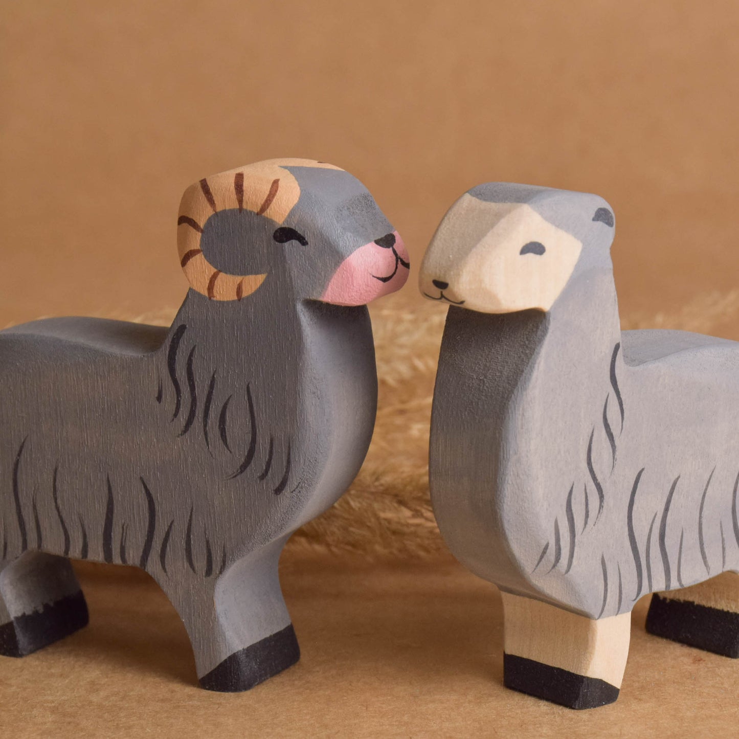 Lamb and Sheep