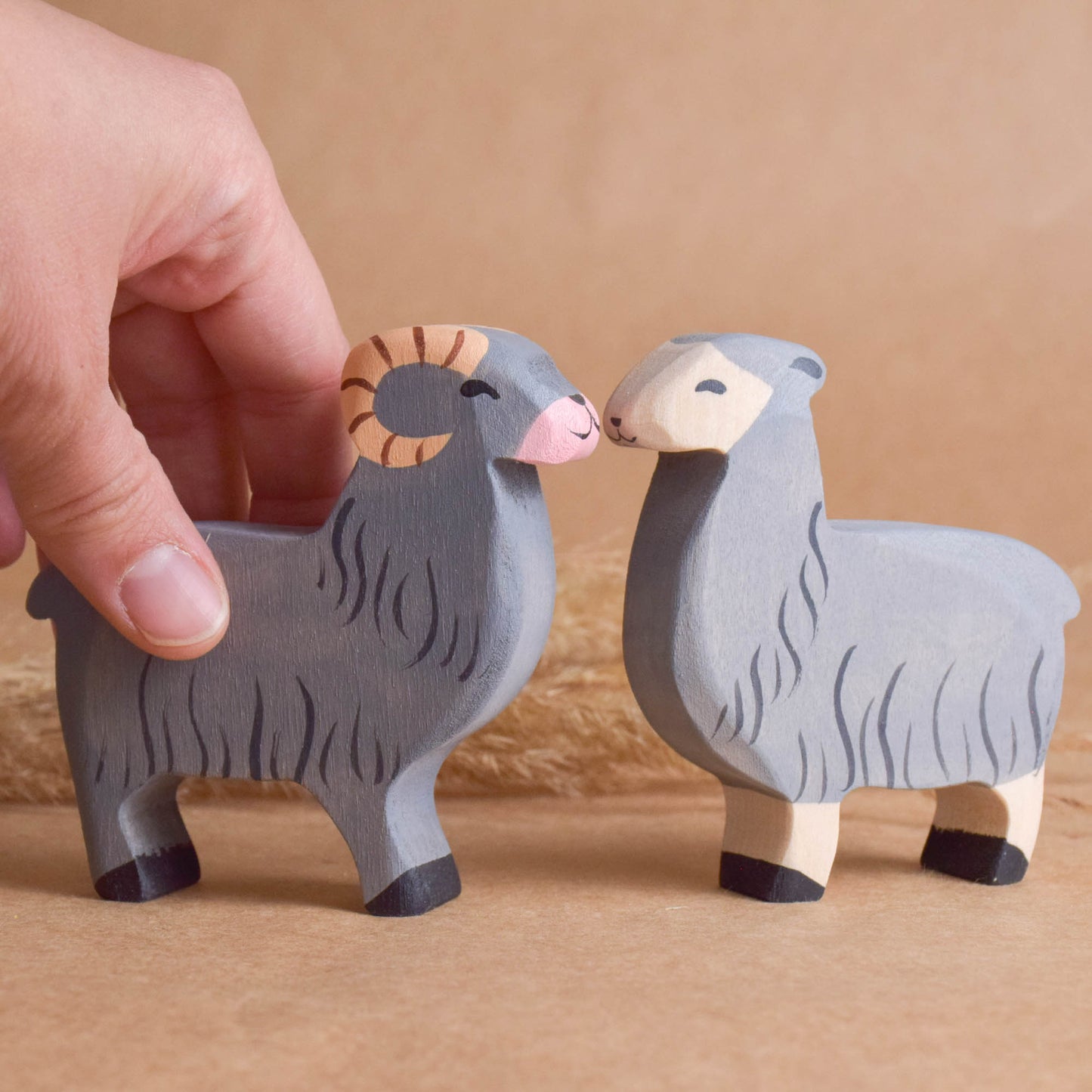 Lamb and Sheep