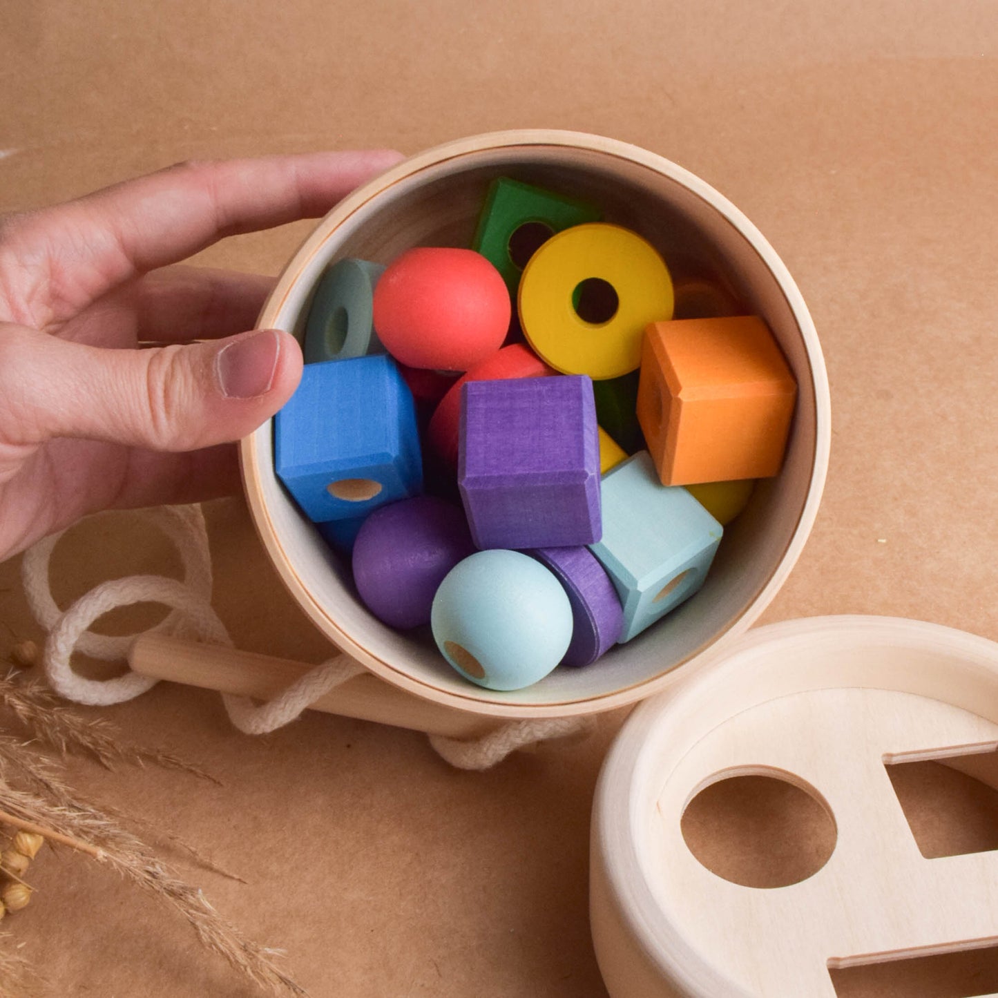 Shape Sorter