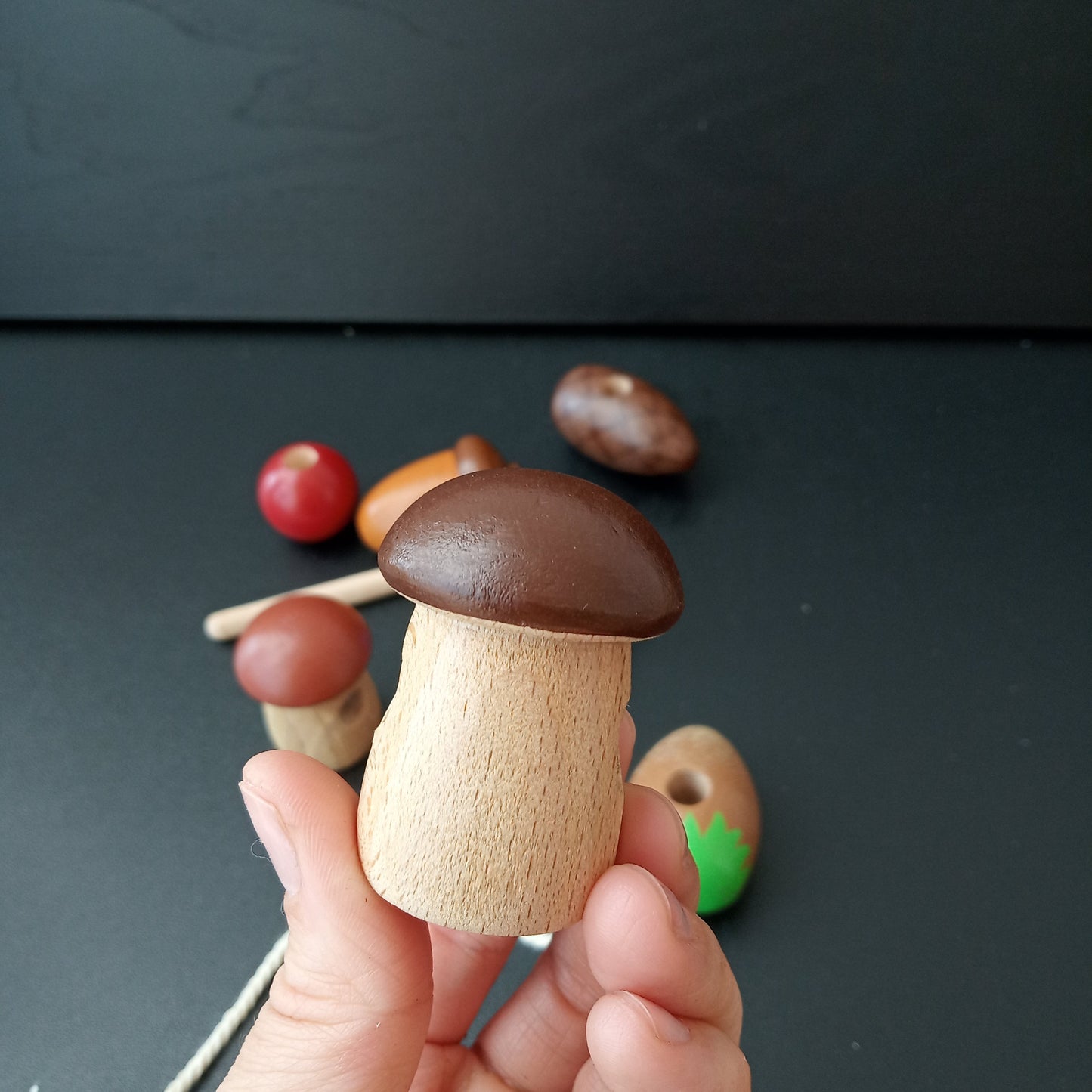 Lacing Toy Forest Gifts