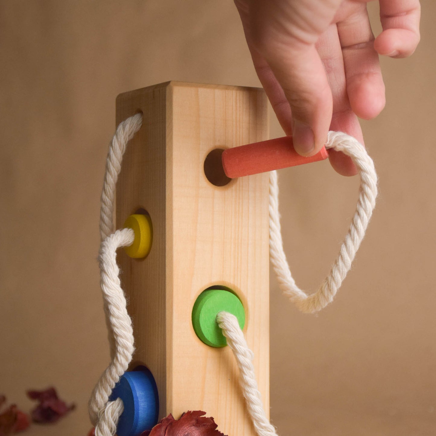 Montessori Color Sorting Activities for Preschoolers Wood Block with Cylinders