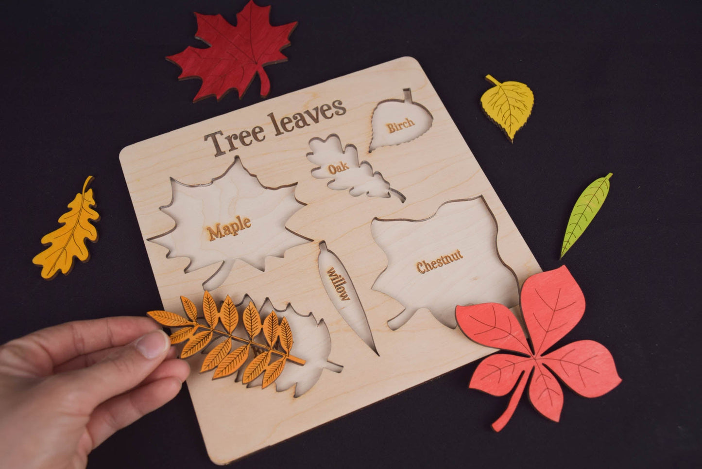Leaf Puzzle Montessori