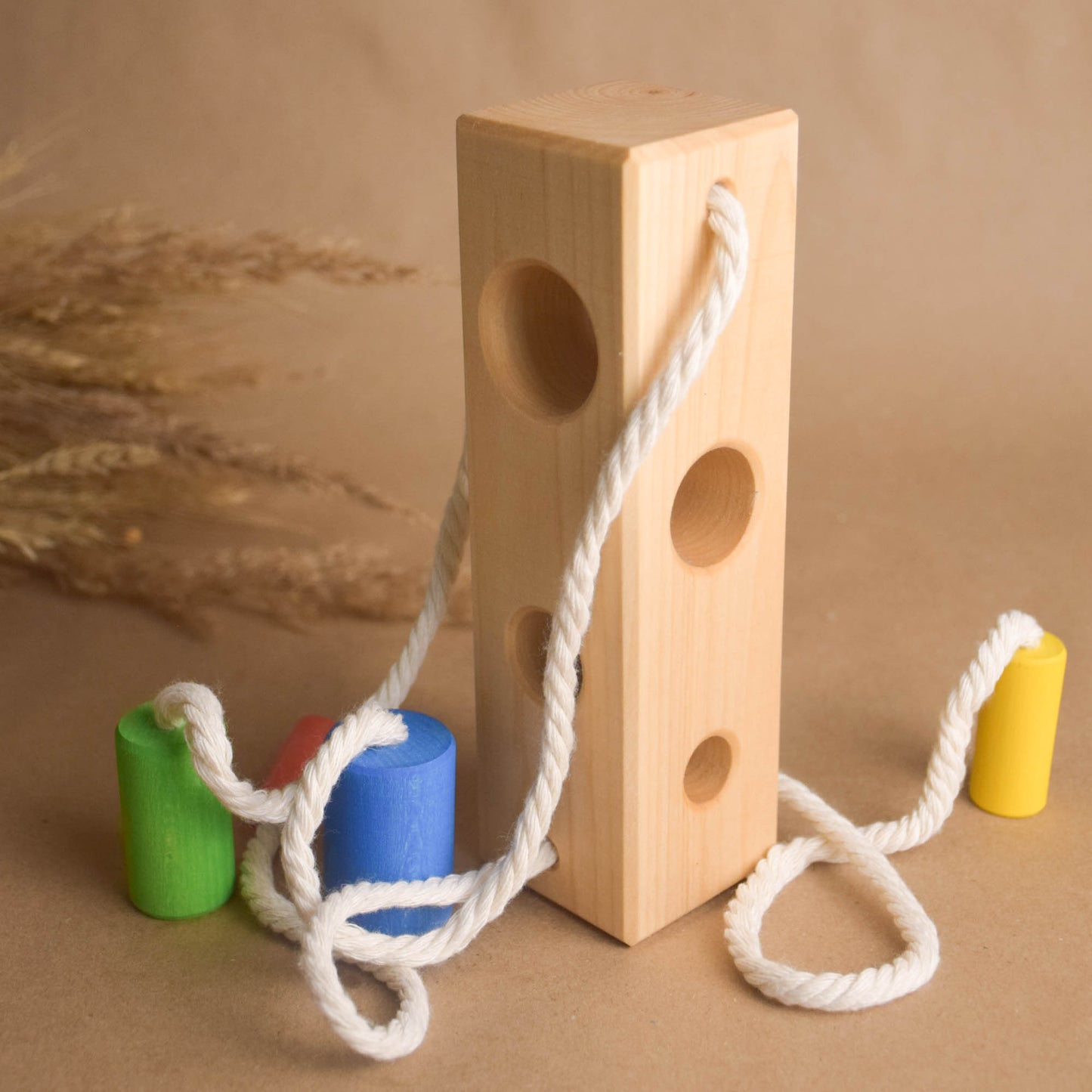 Montessori Color Sorting Activities for Preschoolers Wood Block with Cylinders