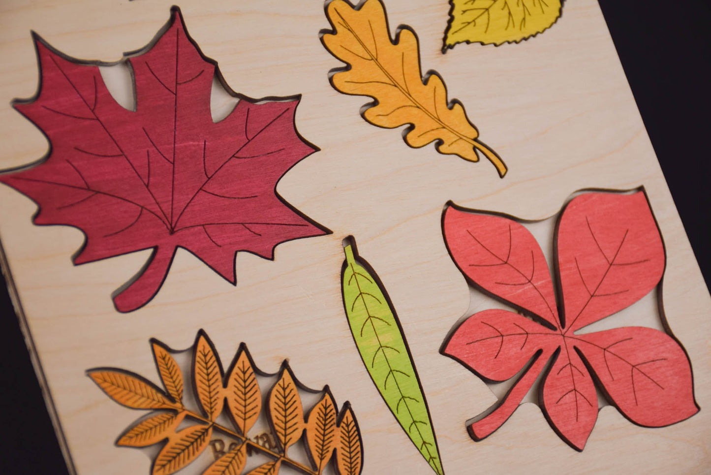 Leaf Puzzle Montessori