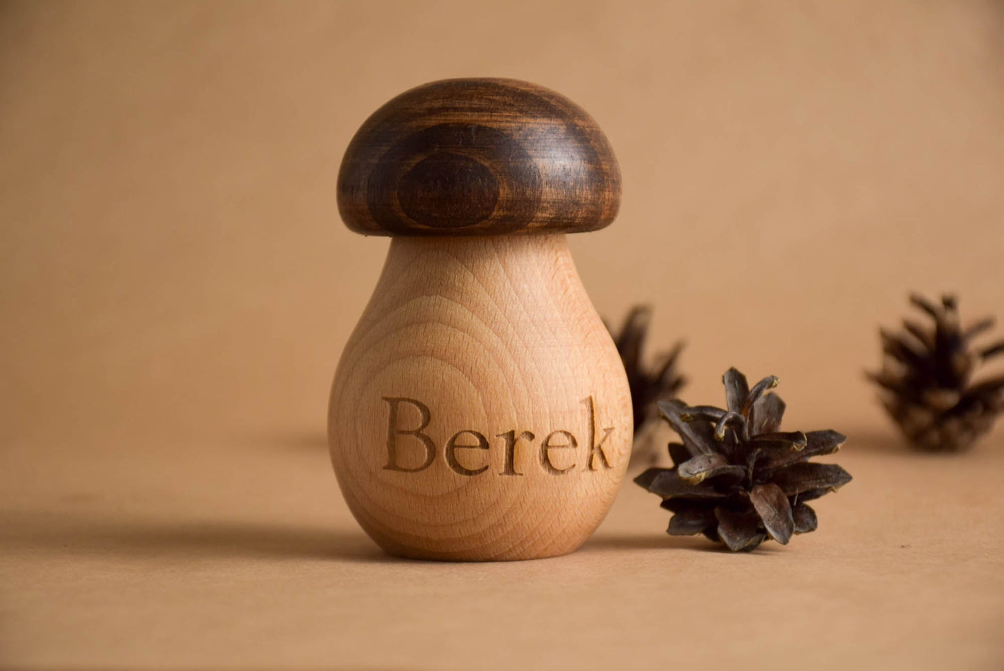 Wooden Mushroom With a Screw