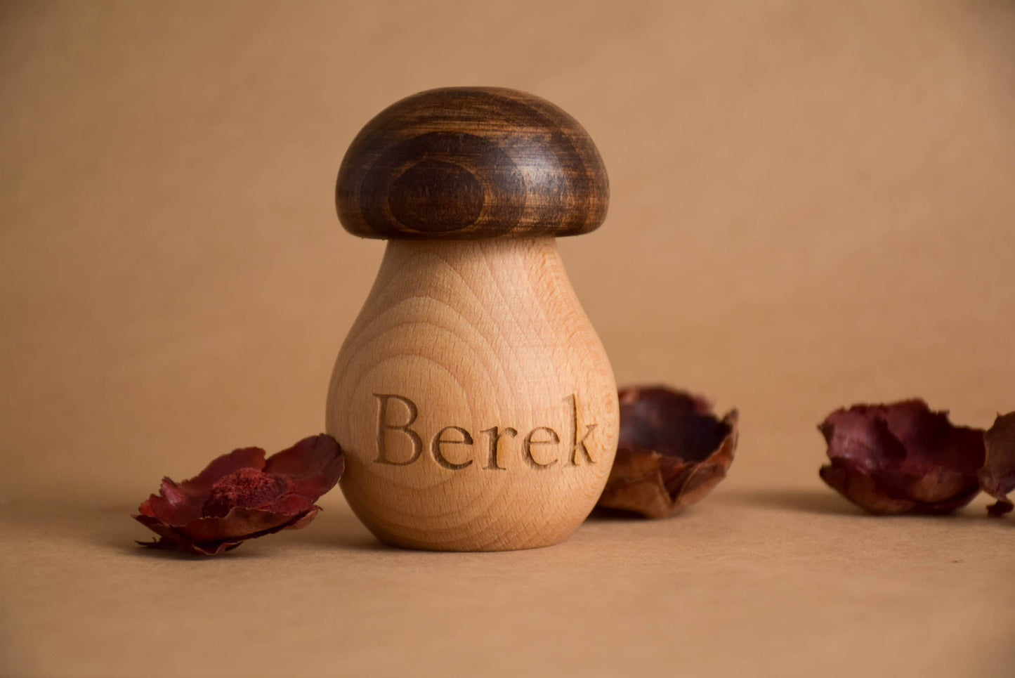 Wooden Mushroom With a Screw