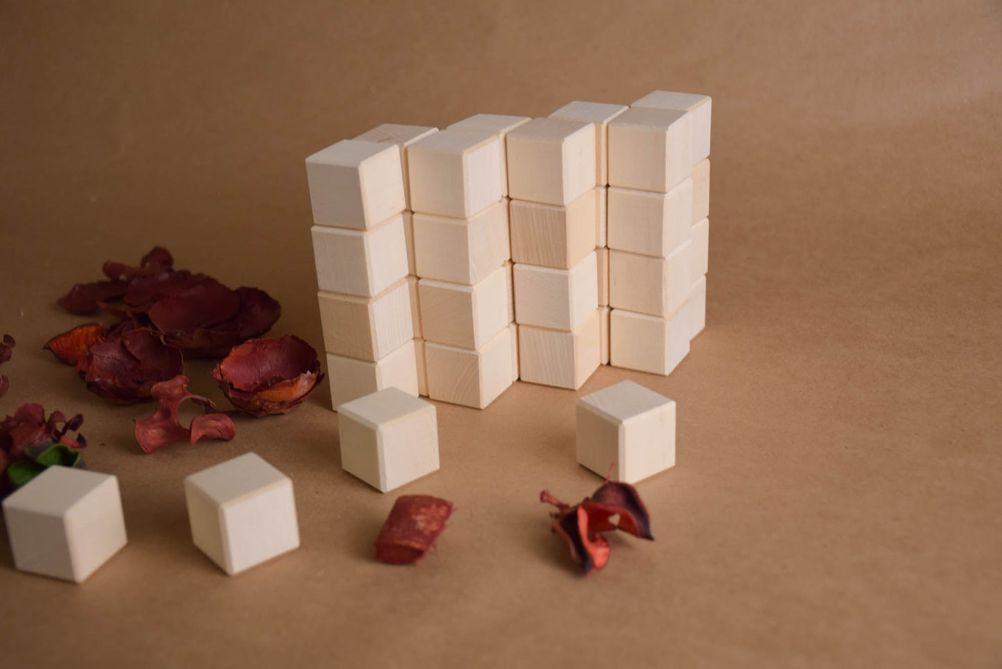 Wooden Blocks Set 1 in / 2.5 cm - 50 pcs