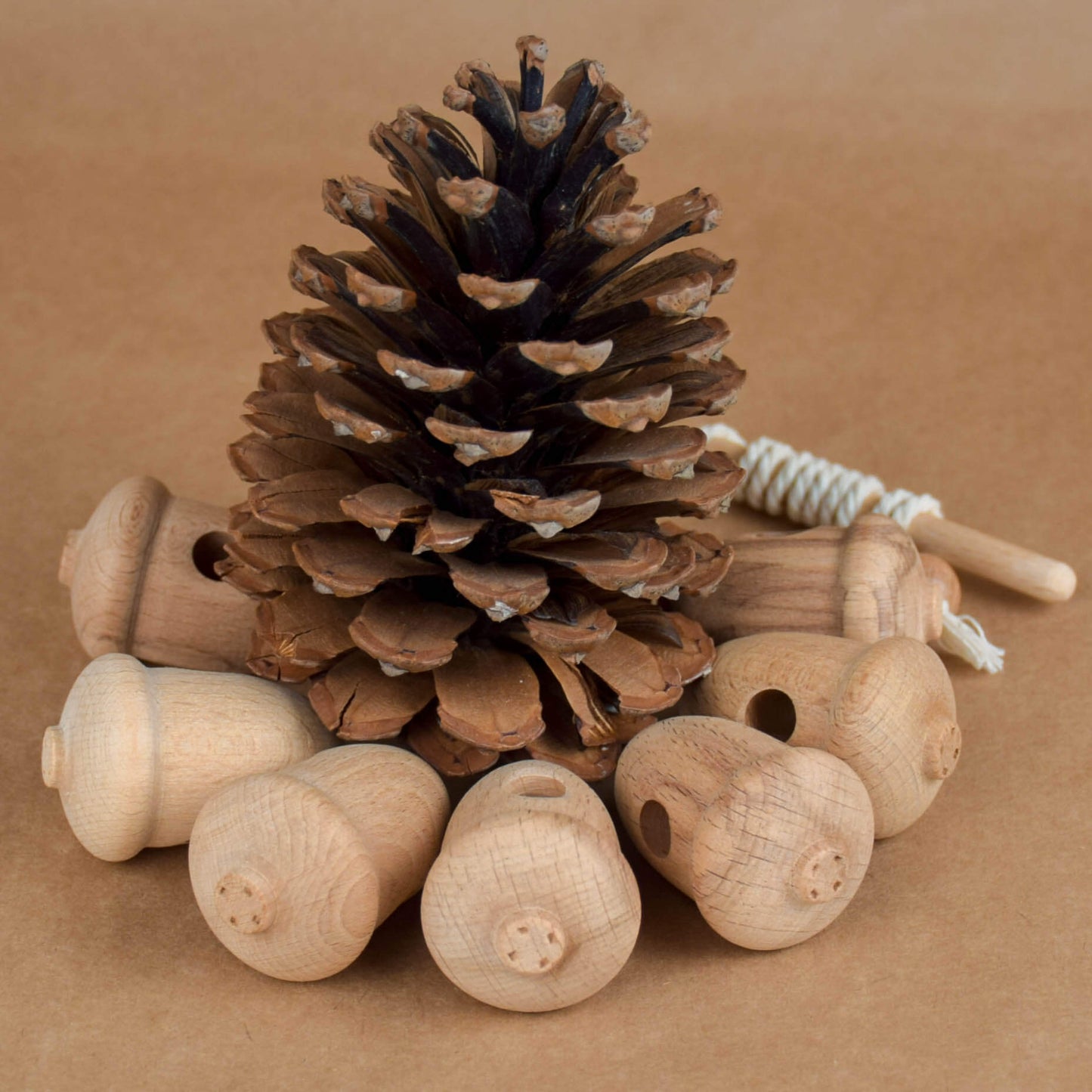 Wooden Lace Up Toys Acorns
