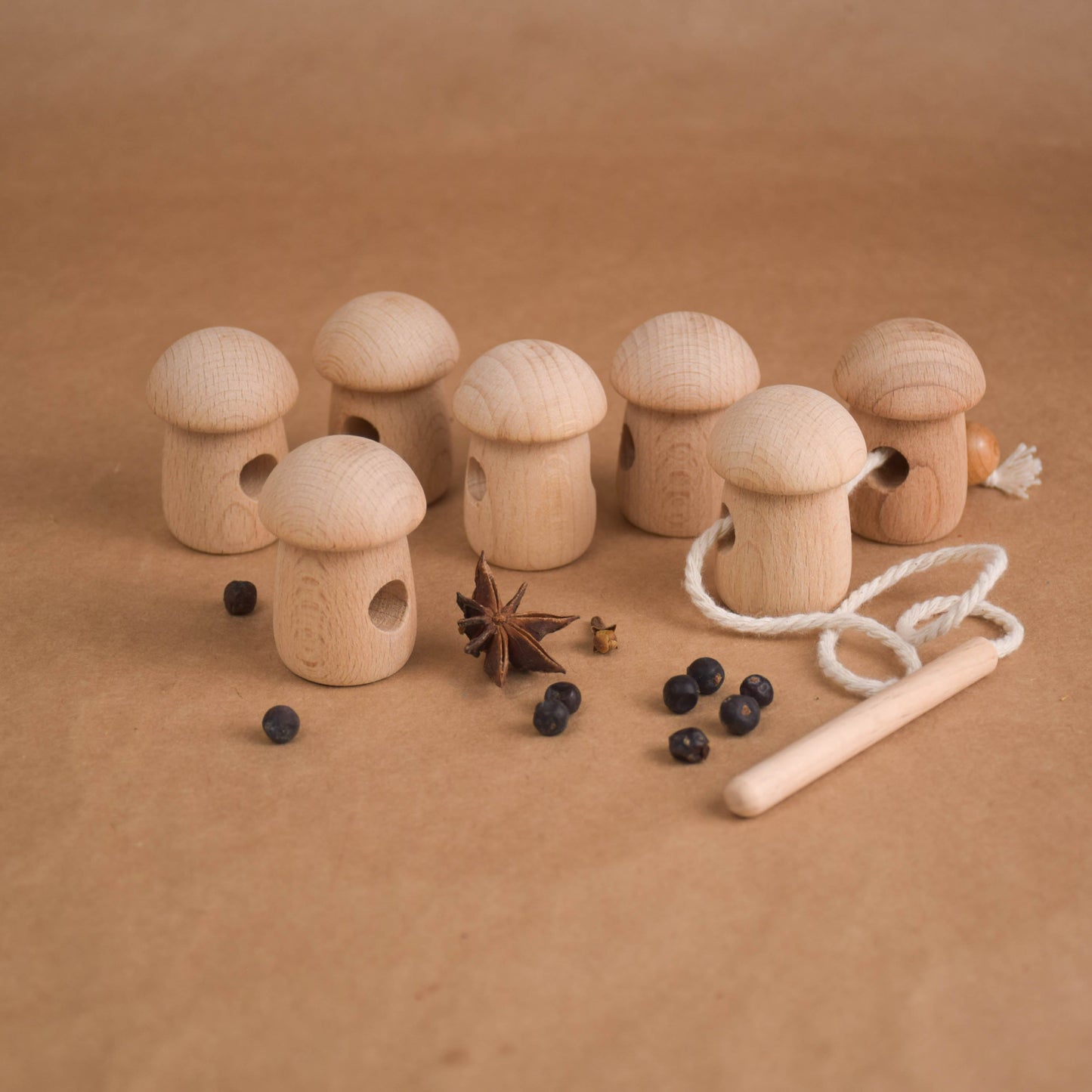 Montessori Wood Lacing Toy Mushroom