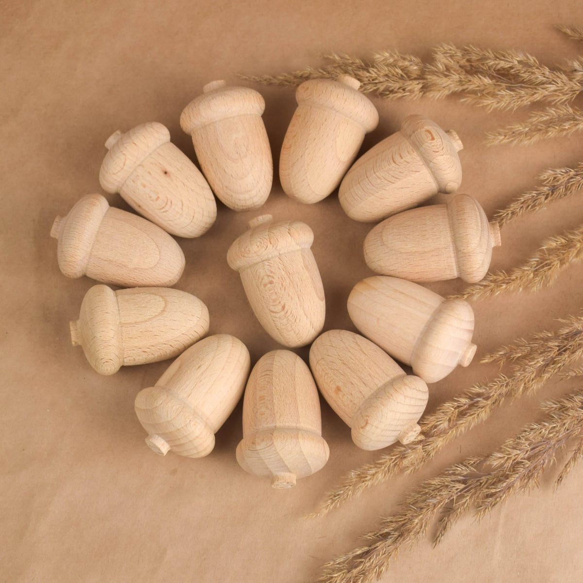 Beech wood acorn pieces for craft projects
