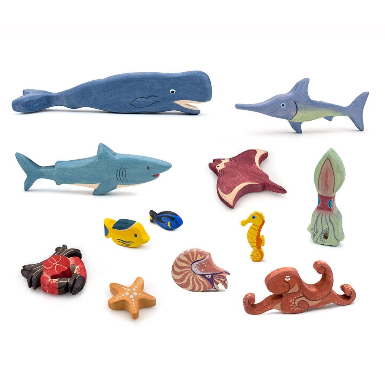Sea Fish and Animals
