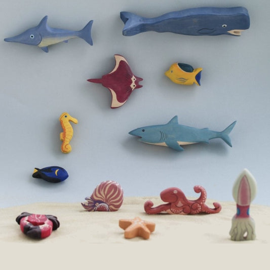 Sea Fish and Animals