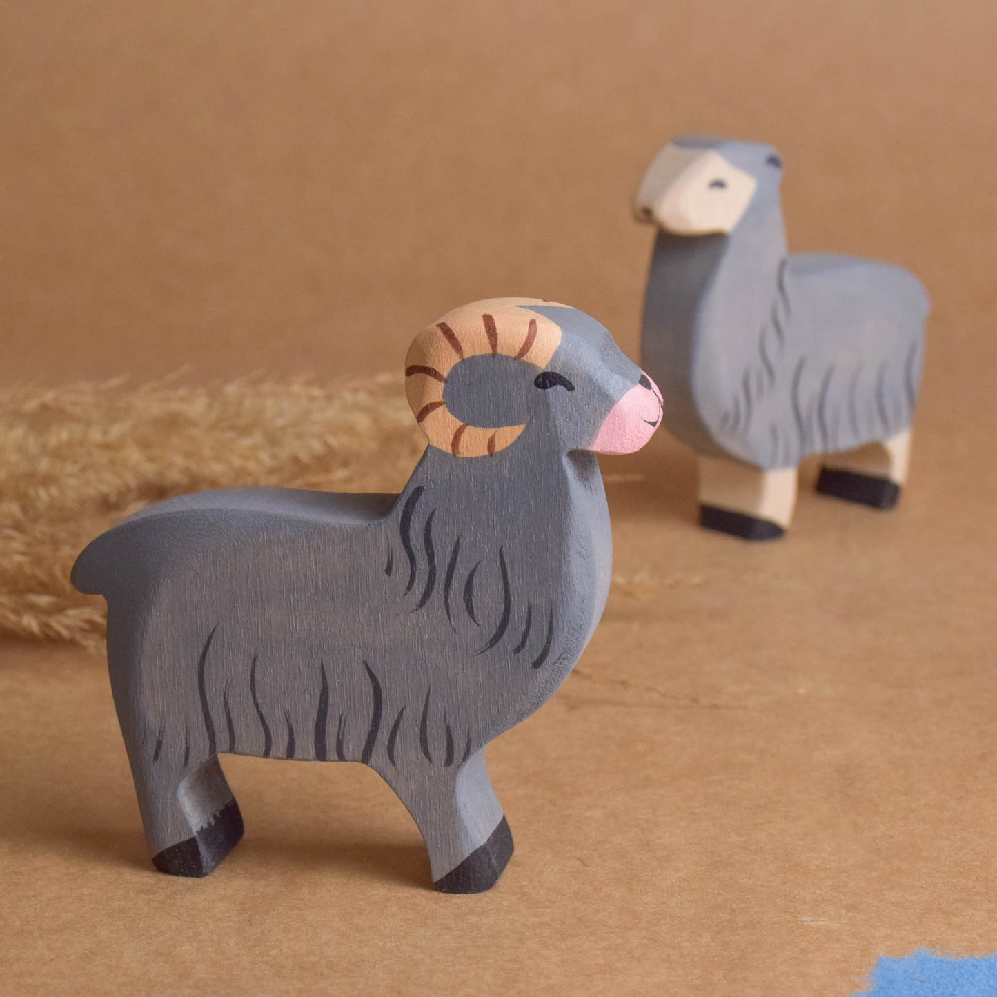 Lamb and Sheep
