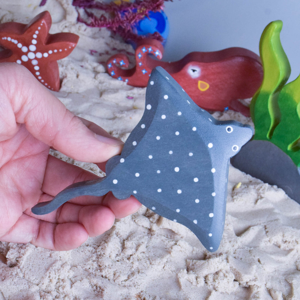 Sea Animals
