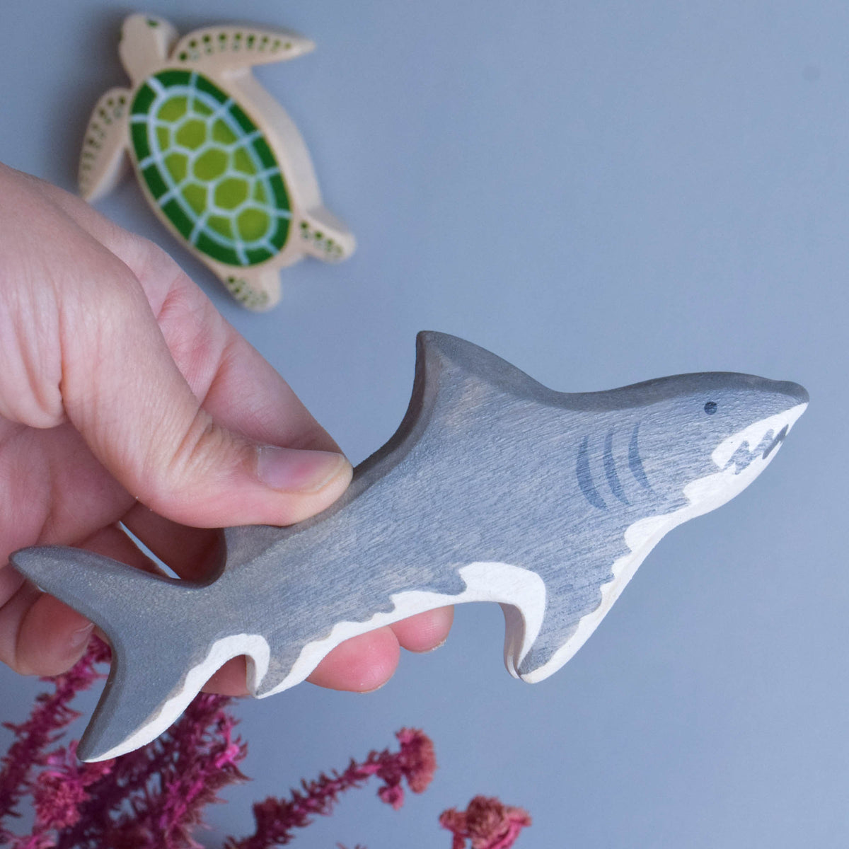 Sea Animals