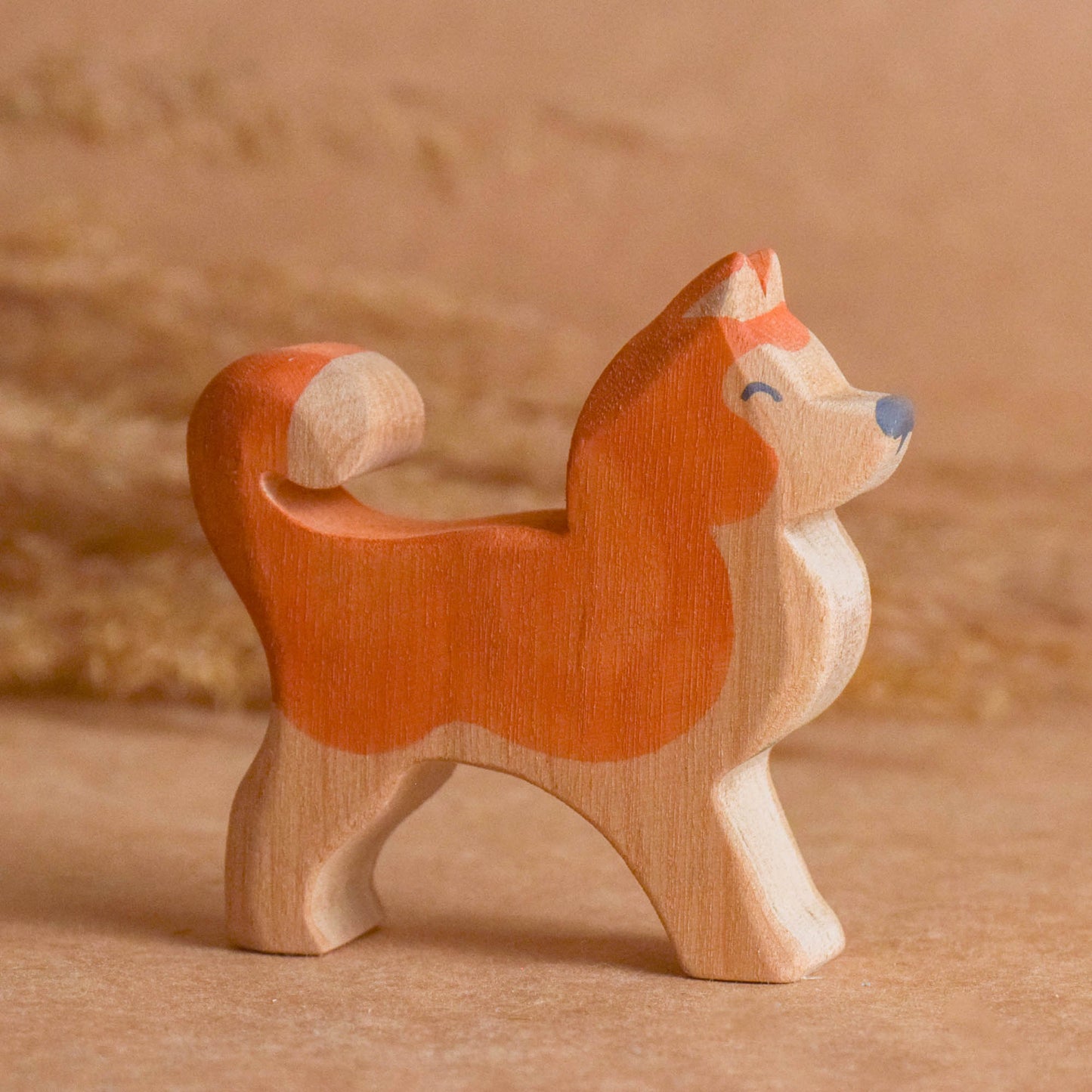 Cat and Dog