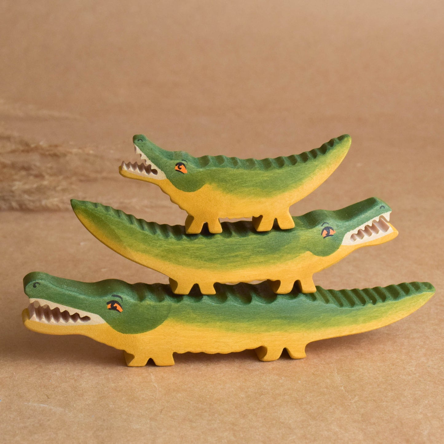 Crocodile family