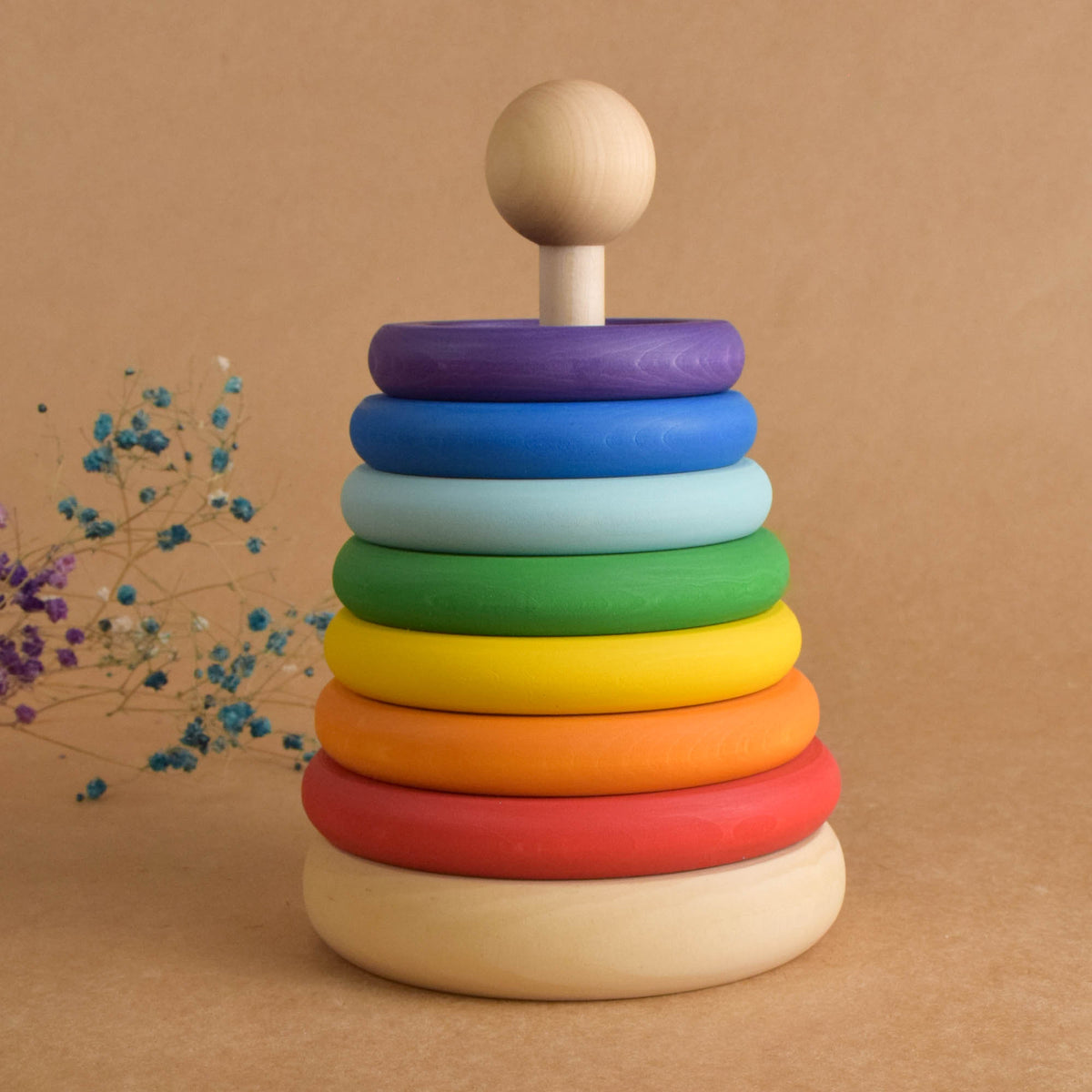 Ring Toss Game
