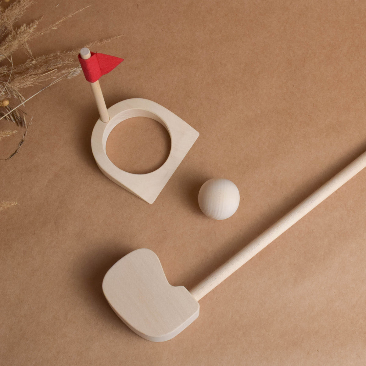 Mini Golf Set