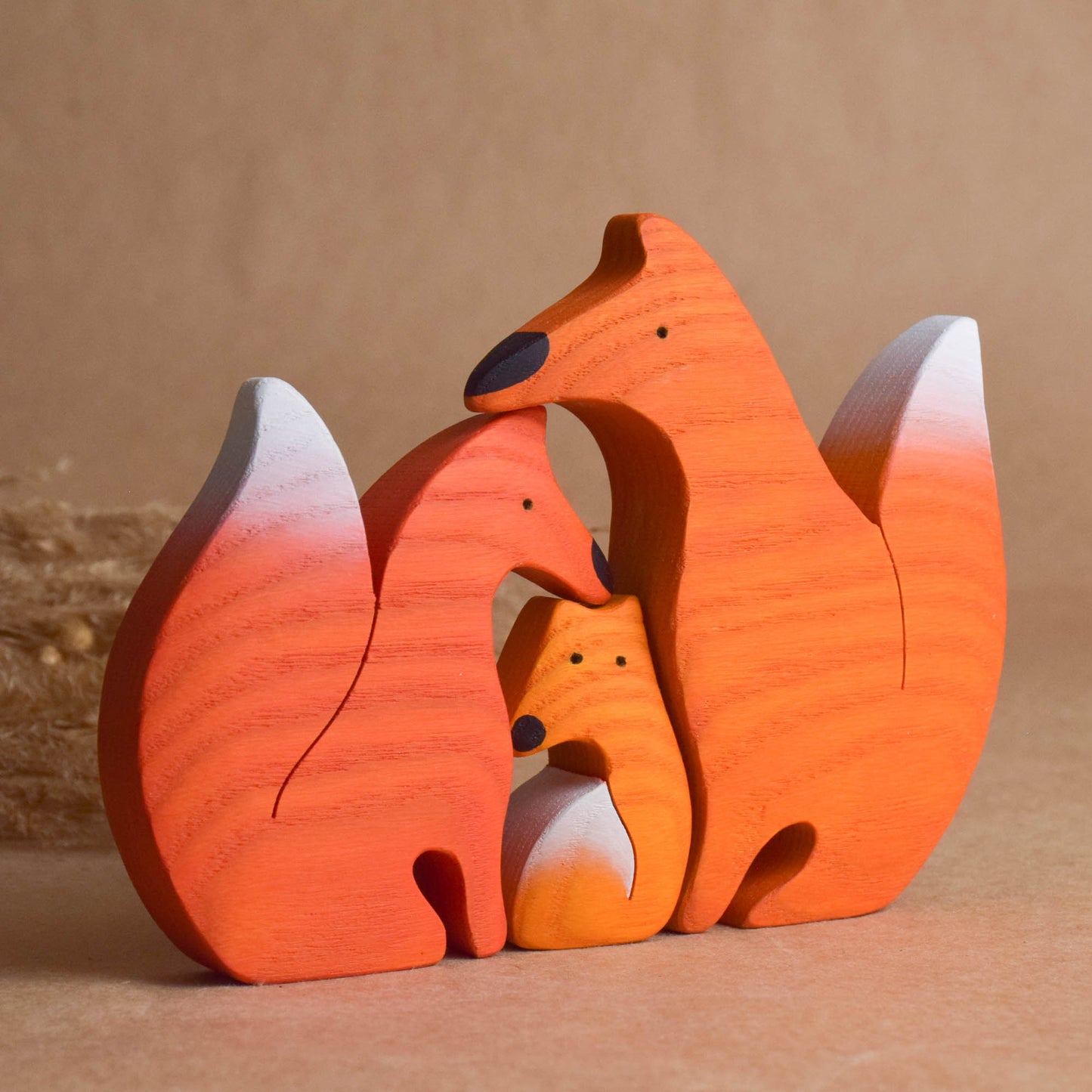 Foxes family