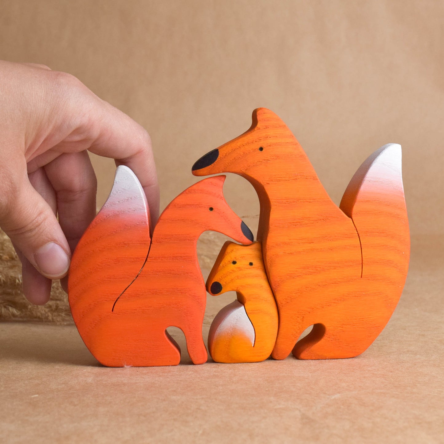 Foxes family