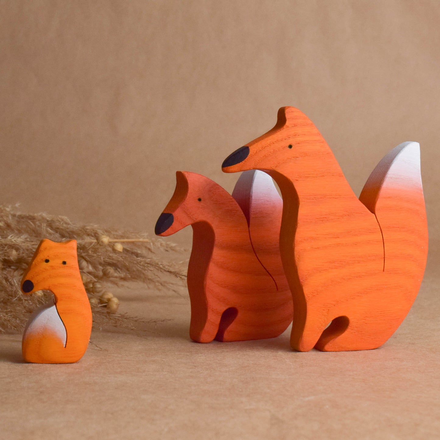 Foxes family