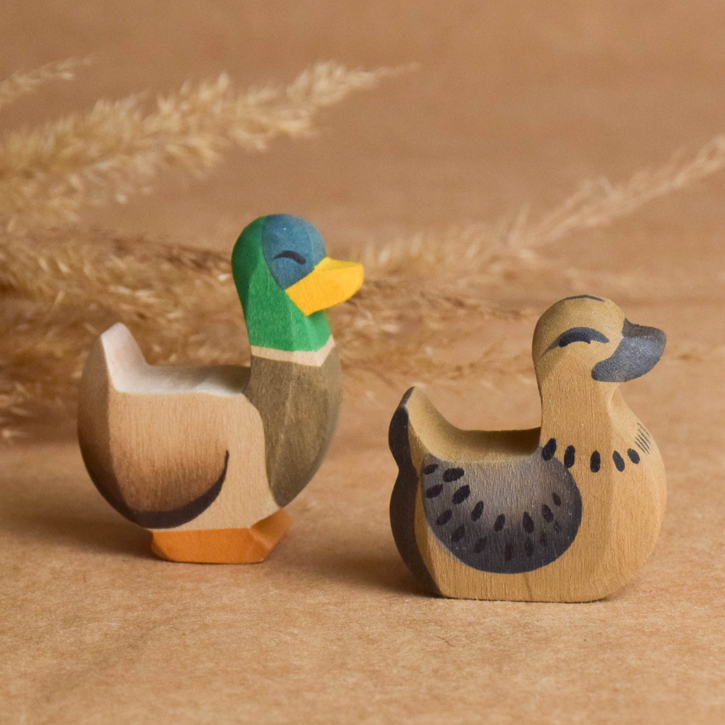 Duck and Drake