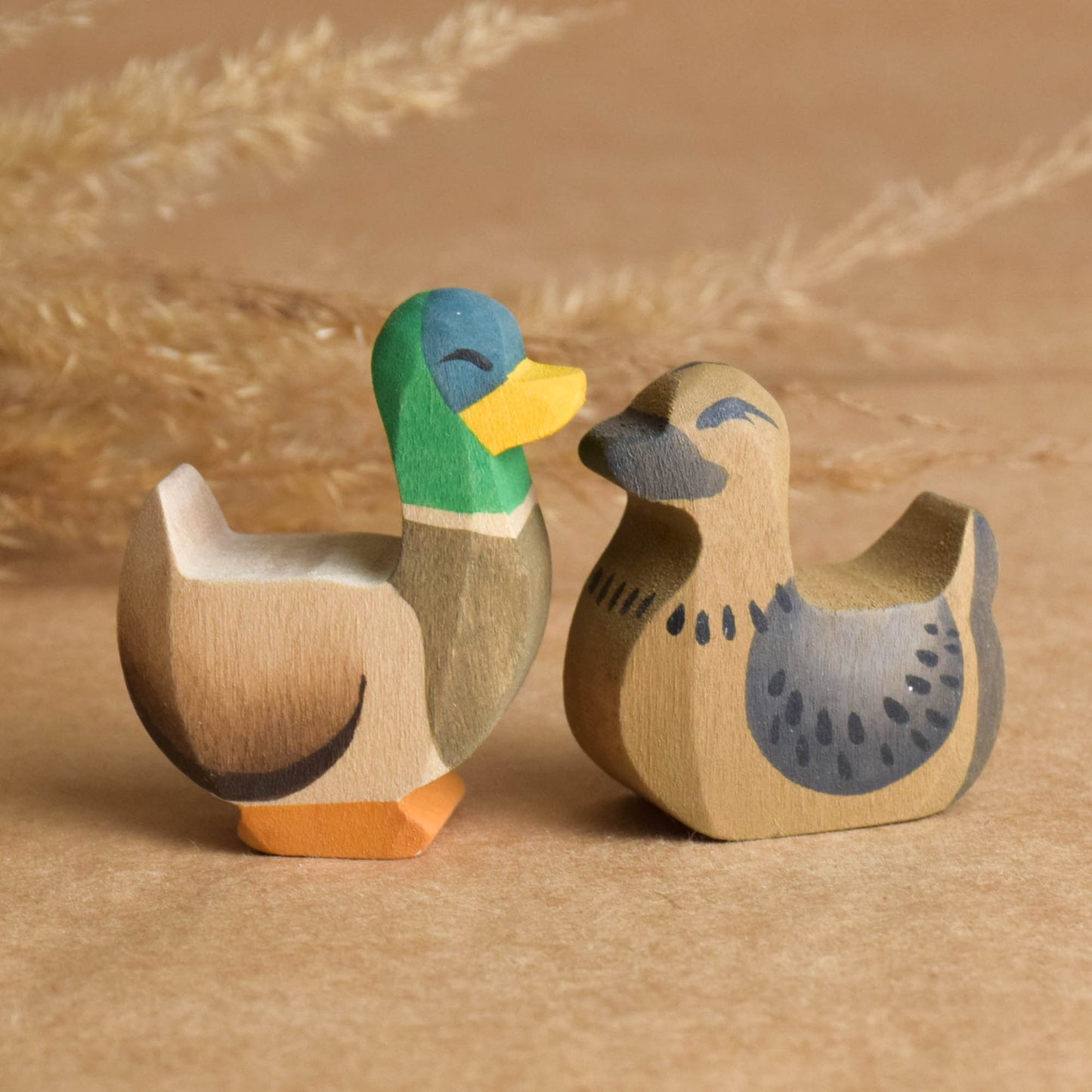 Duck and Drake