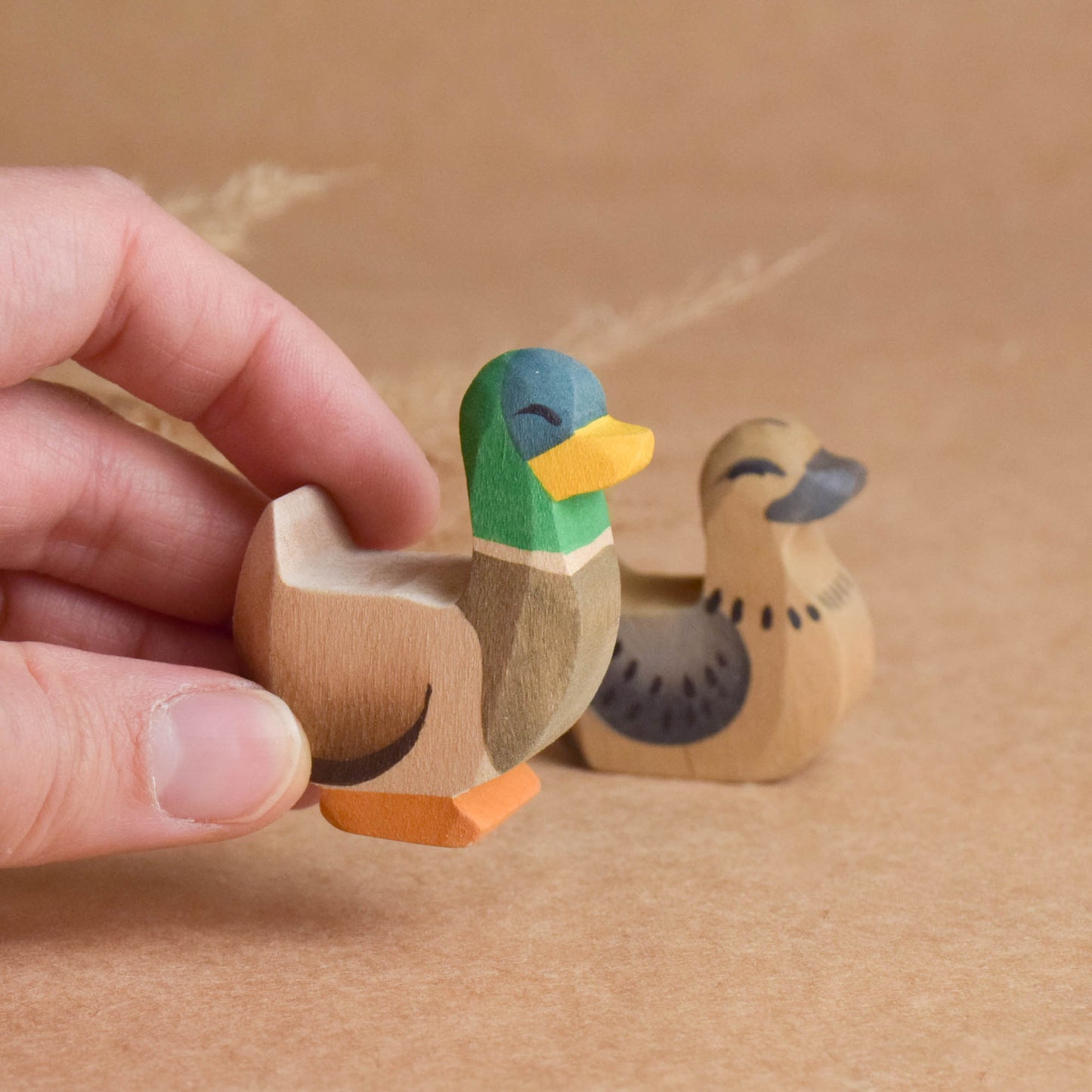 Duck and Drake