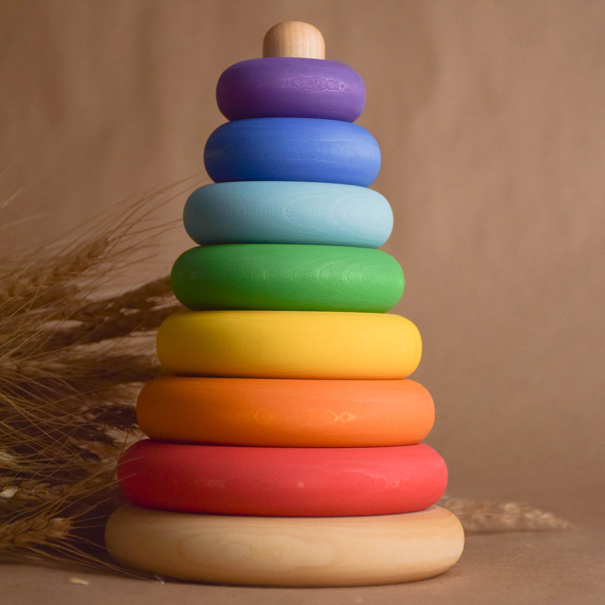 Wooden Rings Stacker Toy Rainbow Montessori Materials Educational 