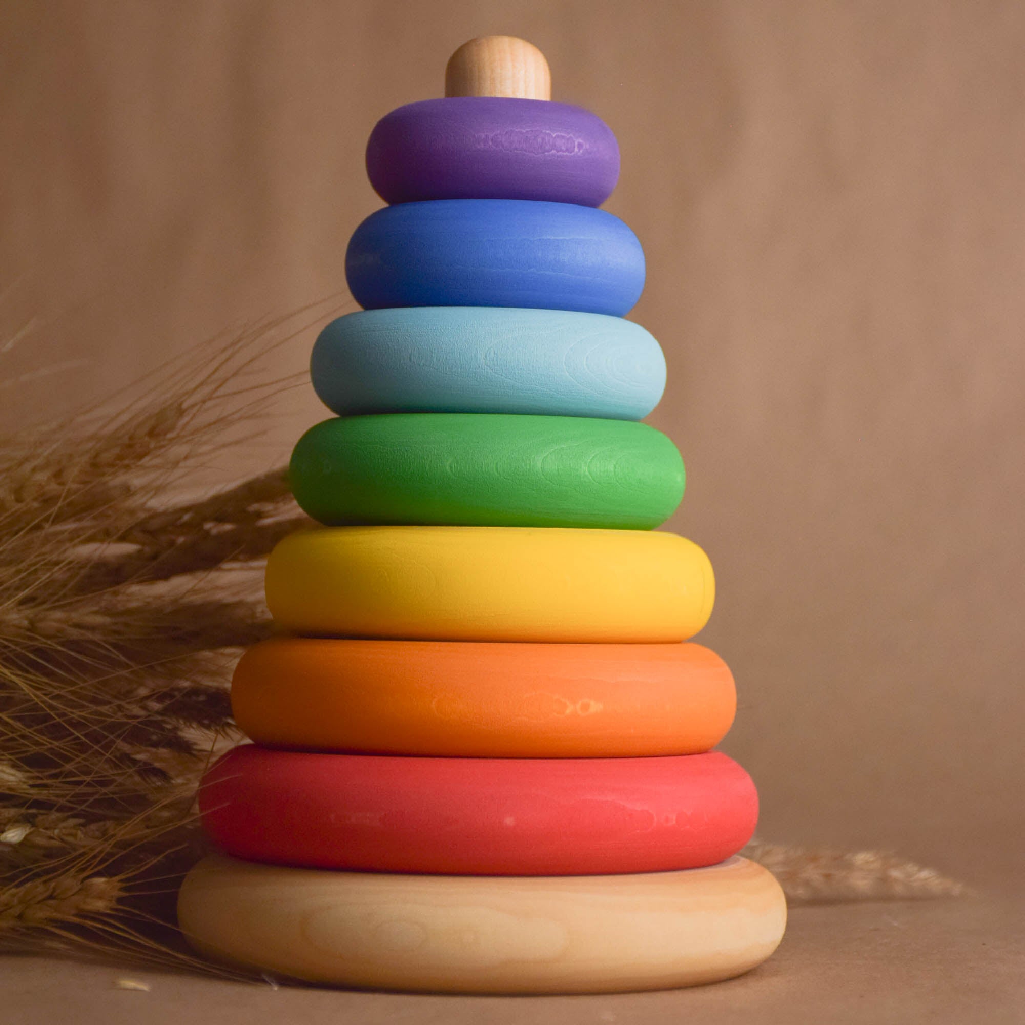 Wooden Rings Stacker Toy Rainbow Montessori Materials Educational 