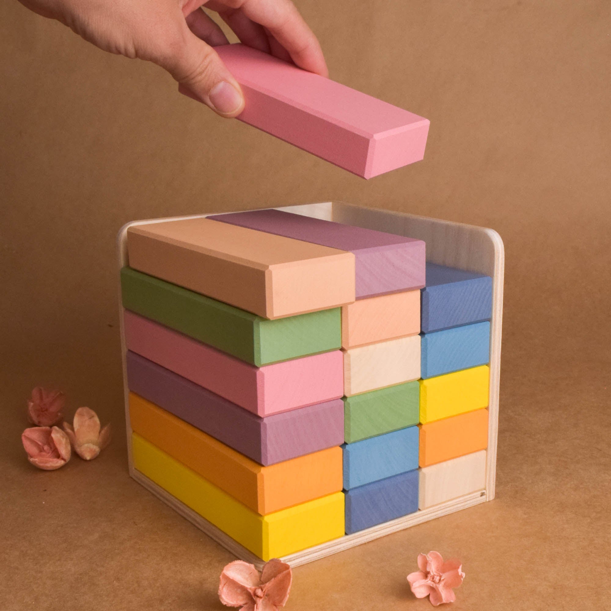 Wooden Pastel Rainbow Blocks in Cube Montessori Educational Toy Set