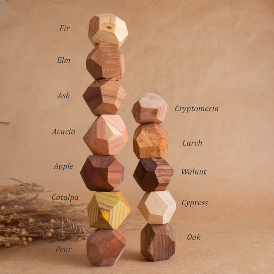 12 Hardwood Species Tumi Ishi Stacking Stones Montessori Wooden Blocks