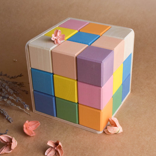 Wooden Building Blocks Pastel Set Cubes in Cube Montessori Toys