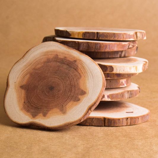 Juniper wood slices for crafts