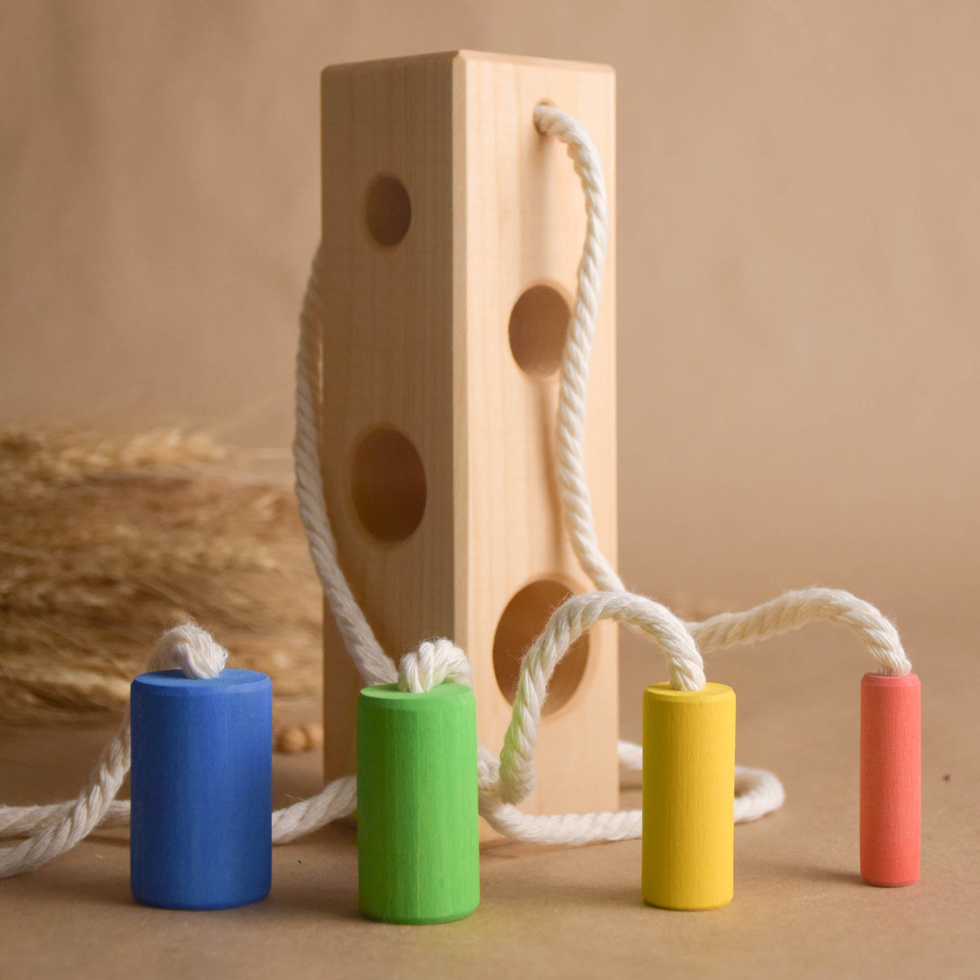 Montessori Color Sorting Activities for Preschoolers Wood Block with C ...