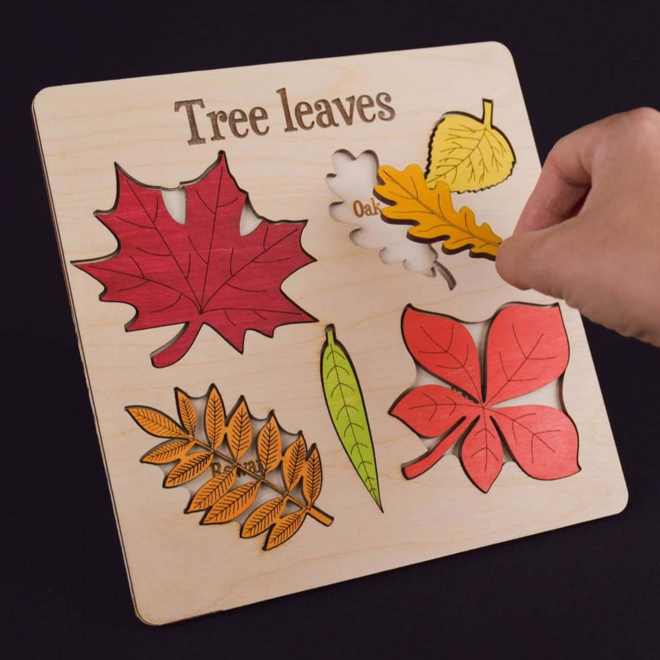 Leaf Puzzle Montessori