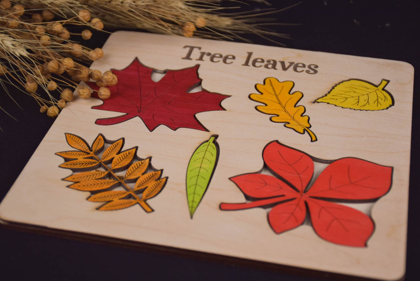 Leaf Puzzle Montessori