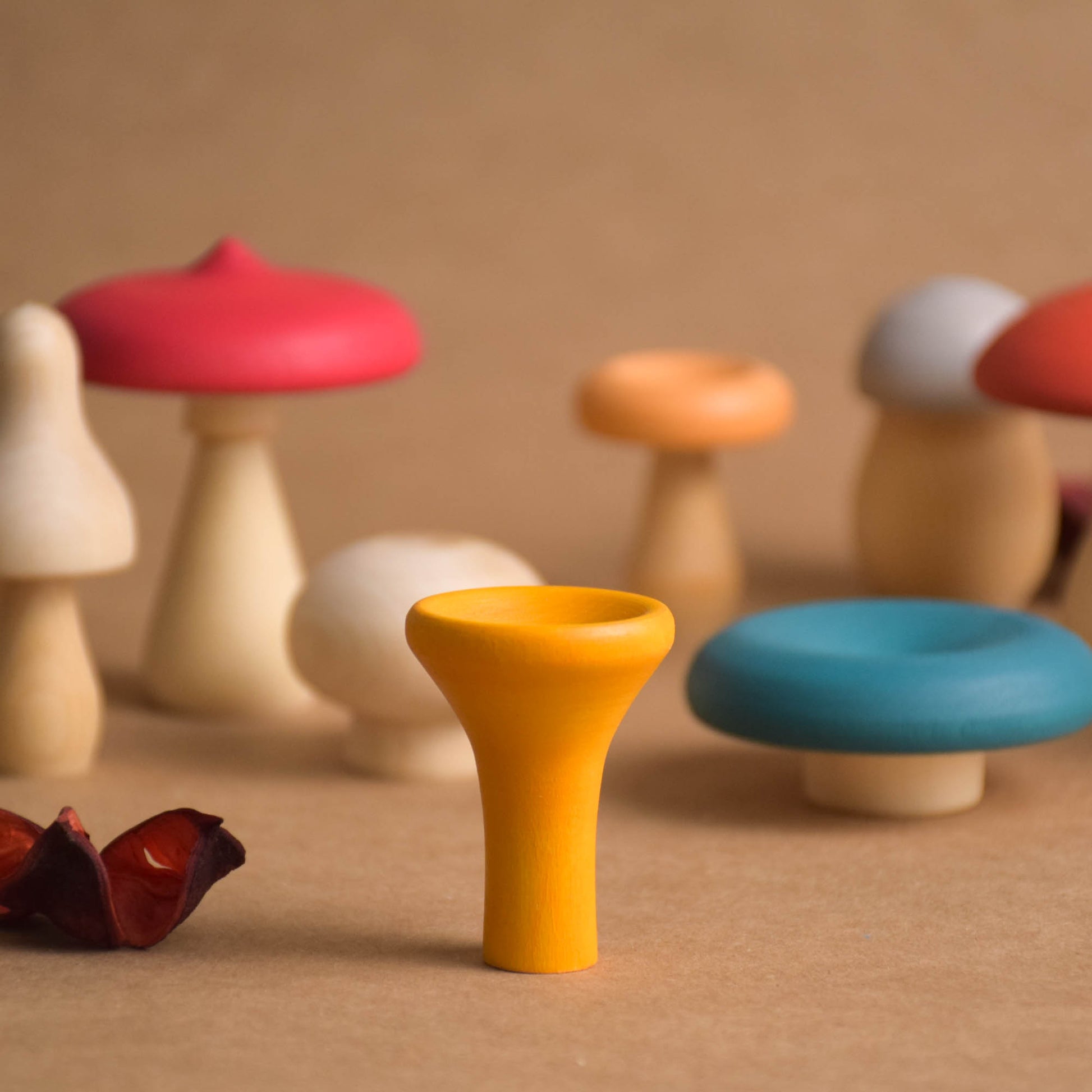 Wooden Mushroom Set