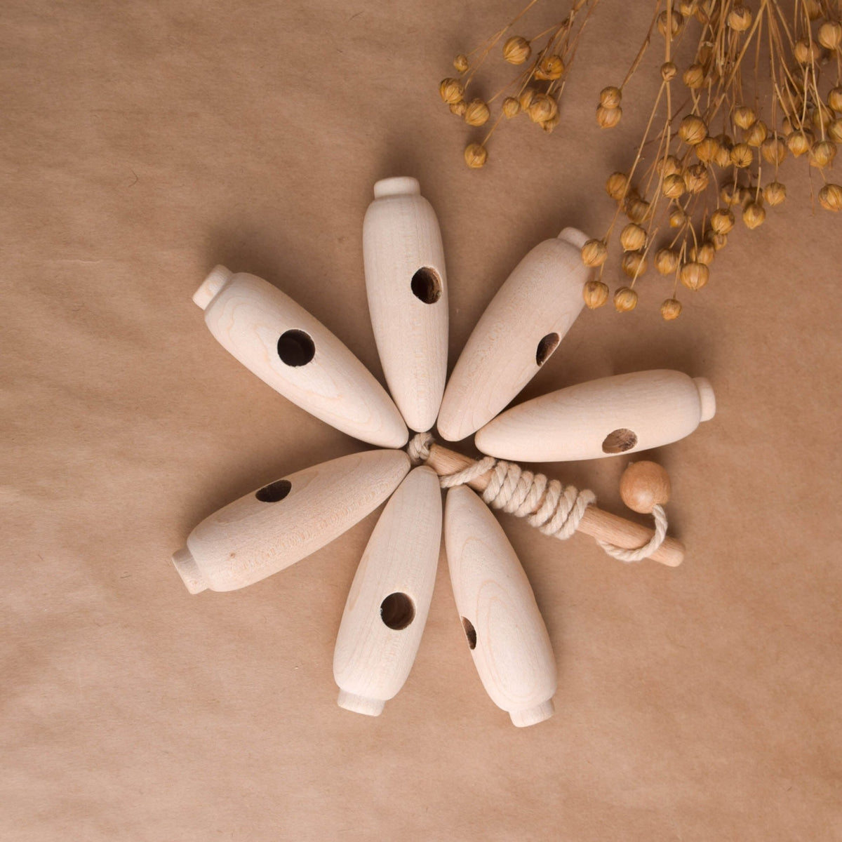 Carrot Lacing Toy
