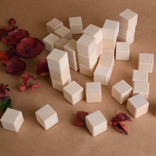 Product photo of Wooden Blocks Set 1 in / 2.5 cm - 50 pcs, a natural-toned counting wooden wooden building blocks set.