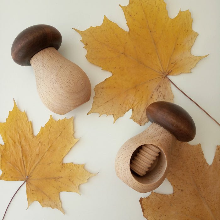Beech wood mushroom screw toy
