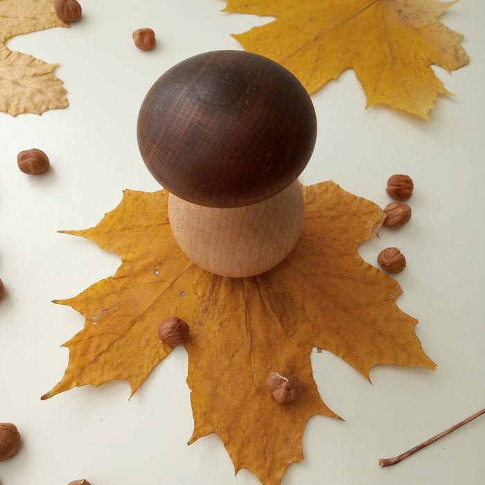 Mushroom screw toy made from beech wood