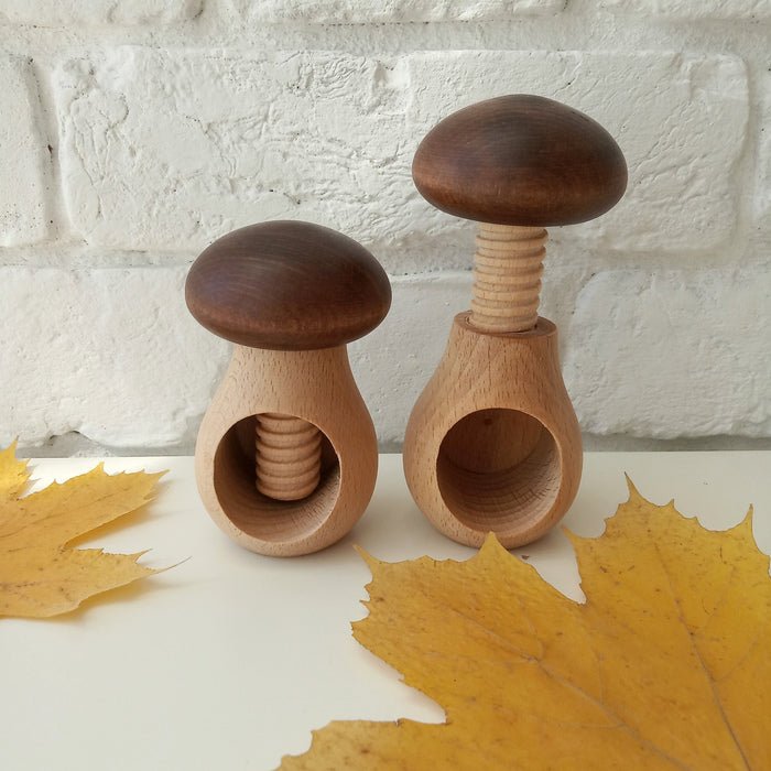 Wooden mushroom toy with a screw mechanism