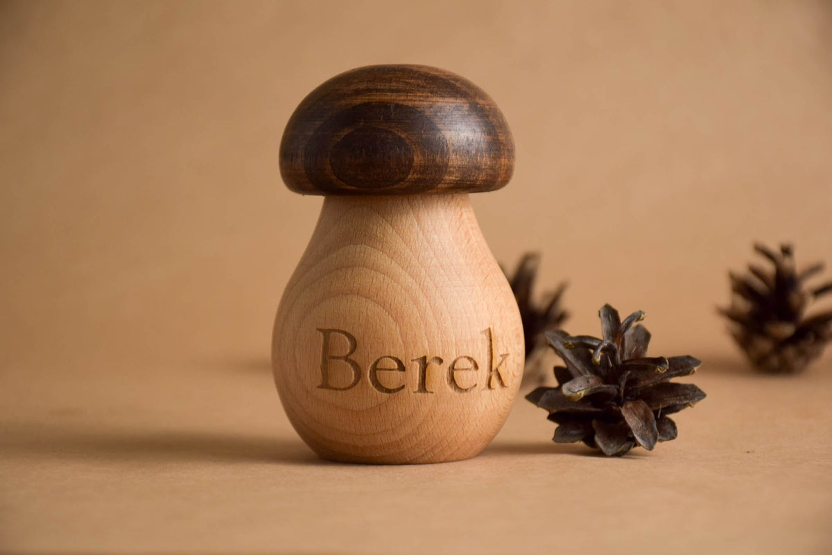 Wooden mushroom toy with a screw mechanism