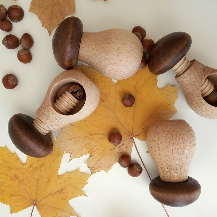 Wooden mushroom toy with a screw mechanism